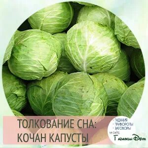 К чему снится кочан