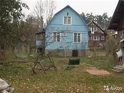 Сайт снт троицкое 4. 54 км васкелово. снт троицкое-4 васкелово. снять дачу в васкелово. 54 км васкелово фото.