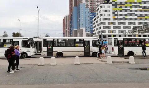30 автобус спб