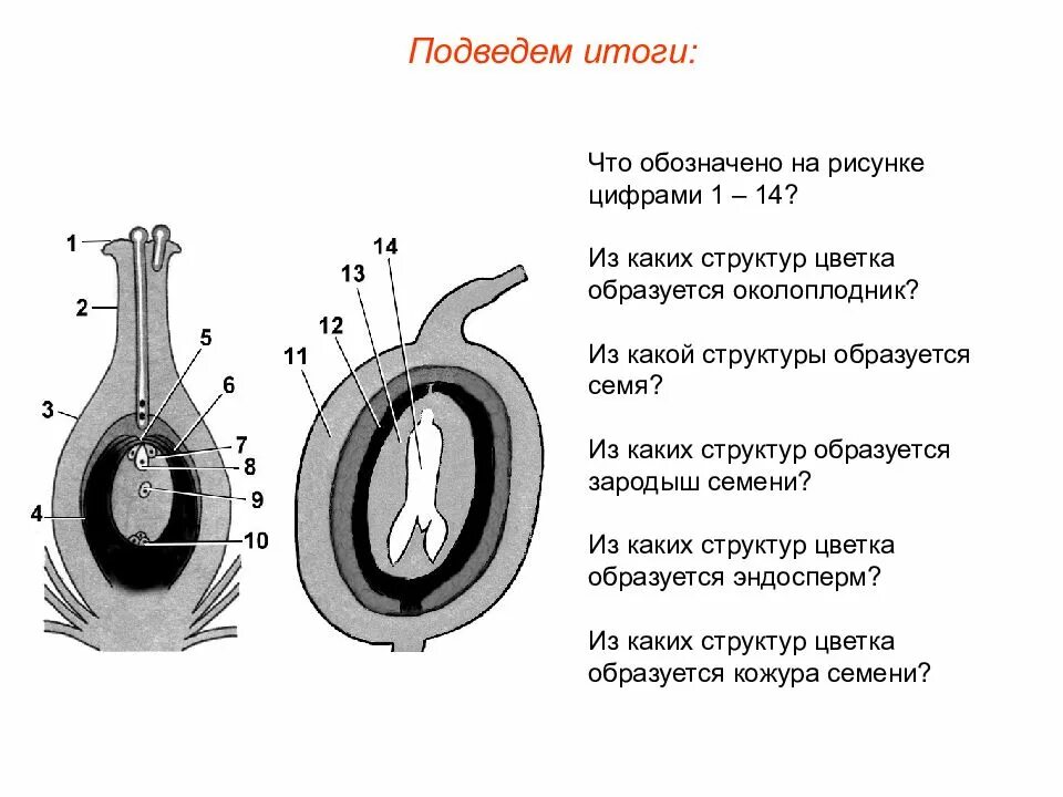 Развивается под цифрой 3
