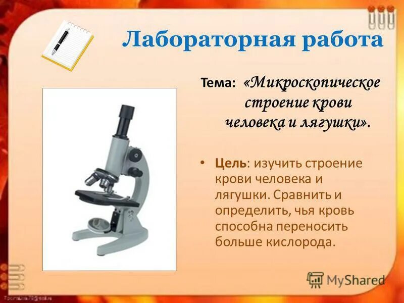 Лабораторная работа сравнение крови лягушки и человека. Лабораторная работа микроскопическое строение крови. Лабораторная работа микроскопическое строение крови человека. Лабораторная работа изучение микроскопического строения крови. Микроскопическое строение крови лабораторная работа 8 класс.