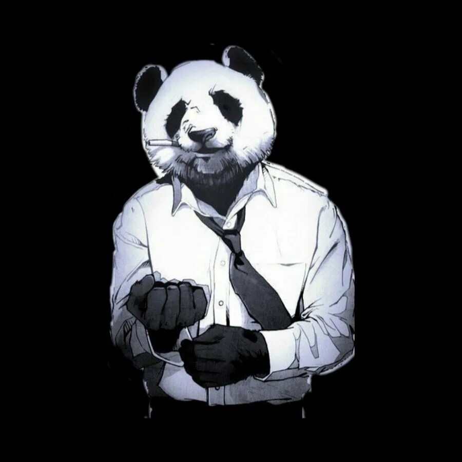 Cugo panda e. Панда песня cygo. Cygo - panda e фото. Panda e певец. Gugo панда е.