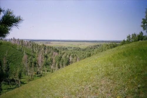 Ингальская долина тюмень. Красногорское тюменская область. Красногорское тюменская область. Красногорское. Красногорье удмуртия церковь.