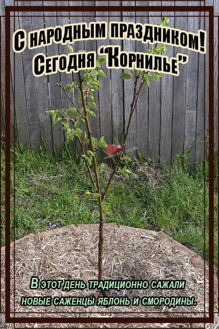 Следующую народную. Следующую народную