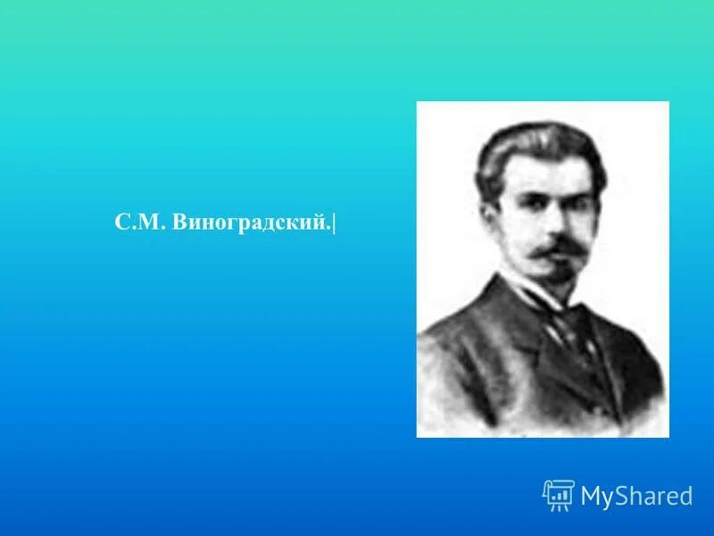 Виноградский в г. Виноградский. с н виноградский микробиология.