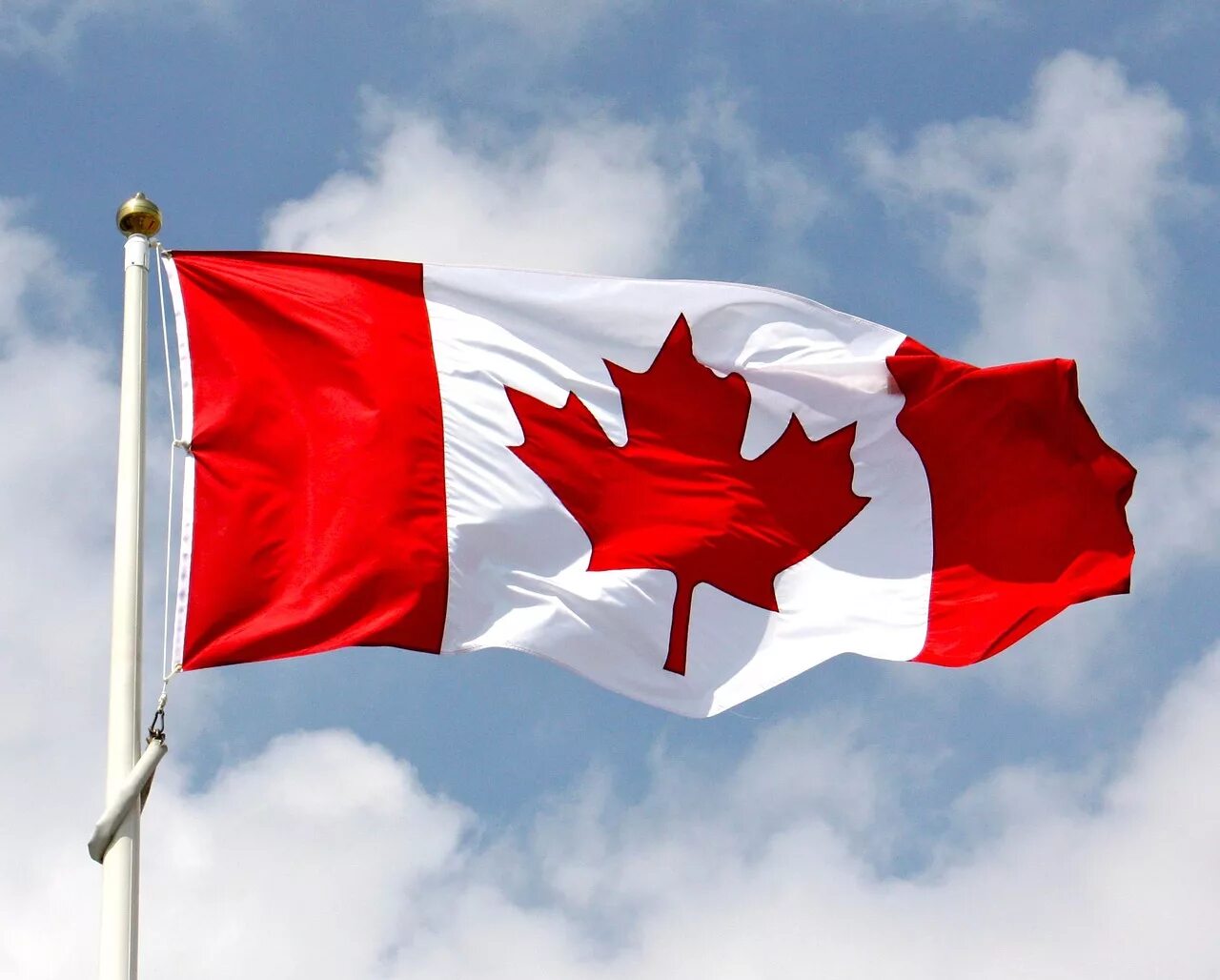 Каннада. Флаг Канада. Канада прапор. Штандарт Канады. Флаг флаг Канады.
