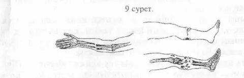 Дәретханадағы әжей