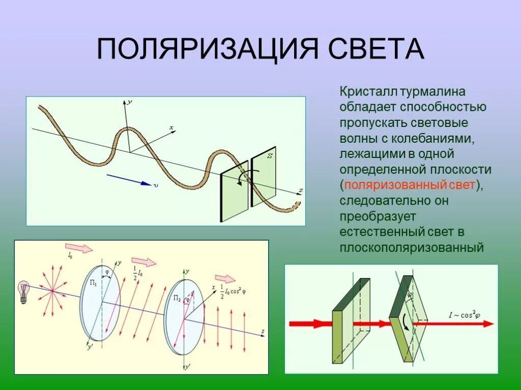 Поляризация рисунок. Поляризация волн физика 11 класс. Поляризация продольных волн. Поляризация света физика 9 класс. Поляризация электромагнитные волны физика.