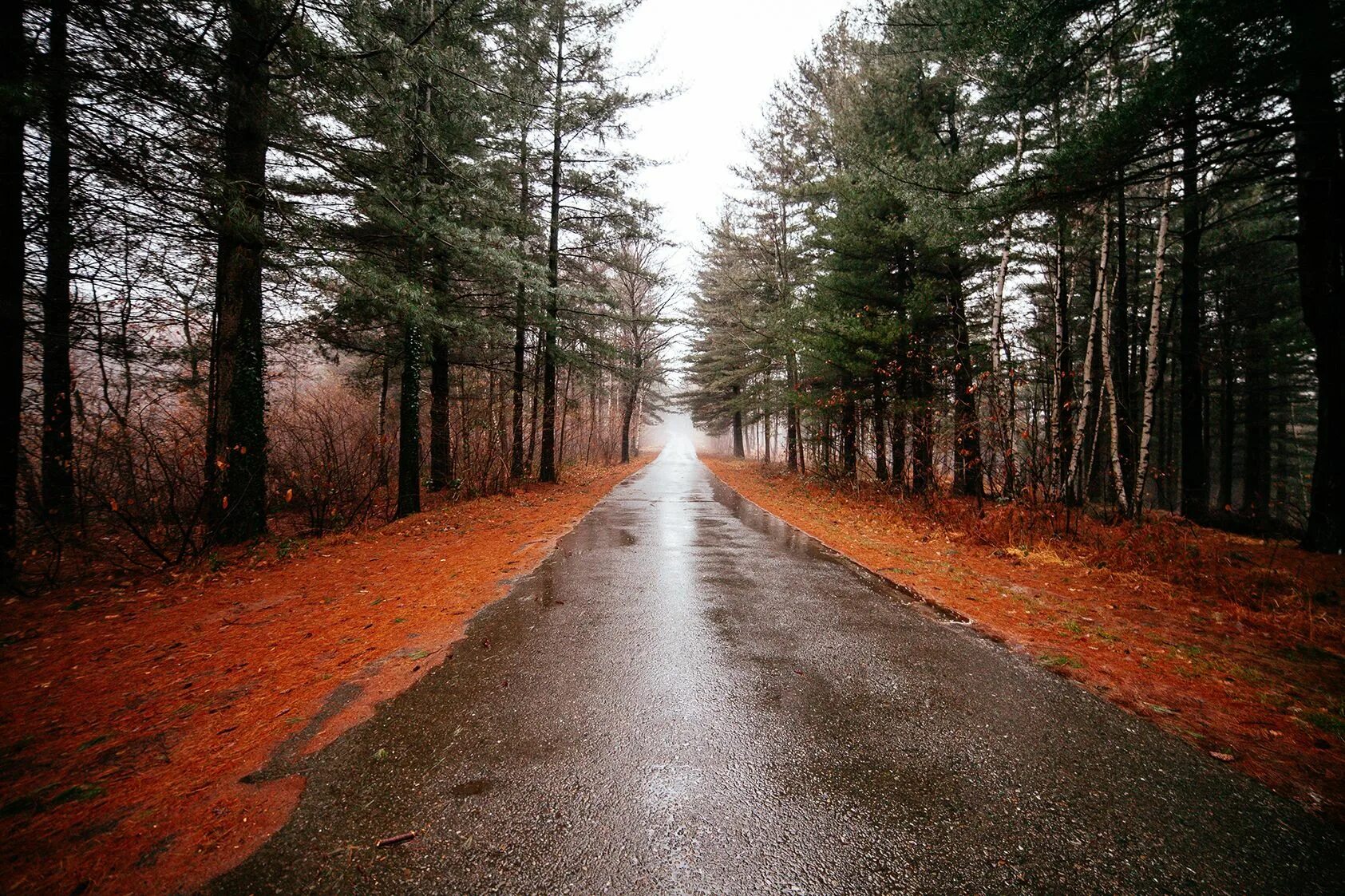 Split path. Split path