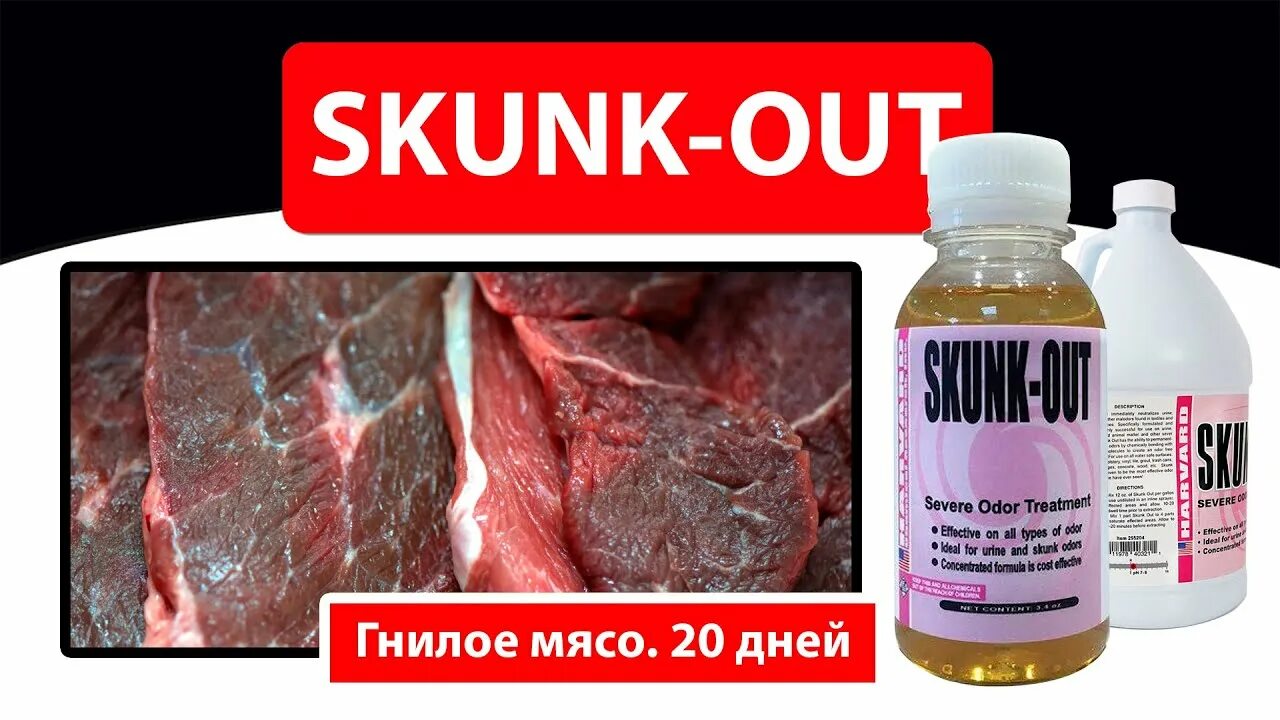 Мясо воняло. Сканкаут Skunk-out. Чем убрать запах из холодильника тухлого мяса.