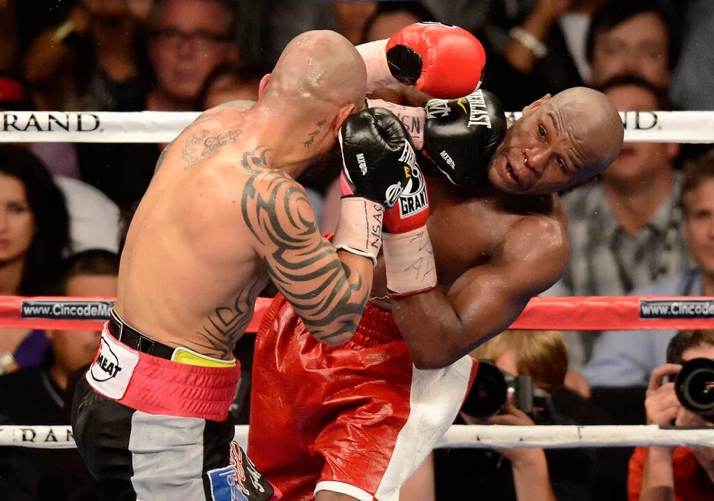 Звезды мирового бокса. Сколько зарабатывают боксеры. Майк тайсон кевин макбрайд. Мейвезер делахоя. Floyd mayweather miguel cotto.