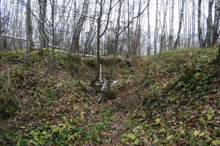 Карьерный овраг казань. Молодой овраг. Овраг переторги брянская область. Молодой овраг. Молодой овраг.