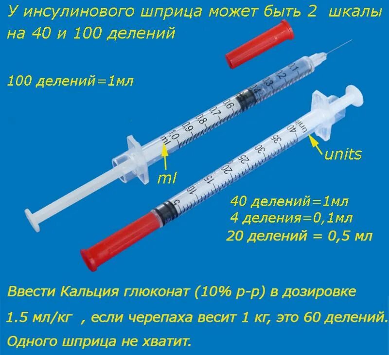 Сколько набирать инсулин в шприц. Инсулиновый шприц 100ед 0.5 мл. Шприц Insulin u-100. Bd u40 инсулиновый шприц. Шприц инсулиновый 40 ед.