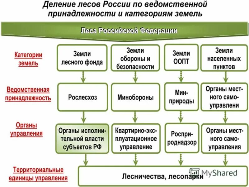 порядок лесной охраны. порядок лесной охраны. порядок лесной охраны. форма лесной охраны. порядок лесной охраны.
