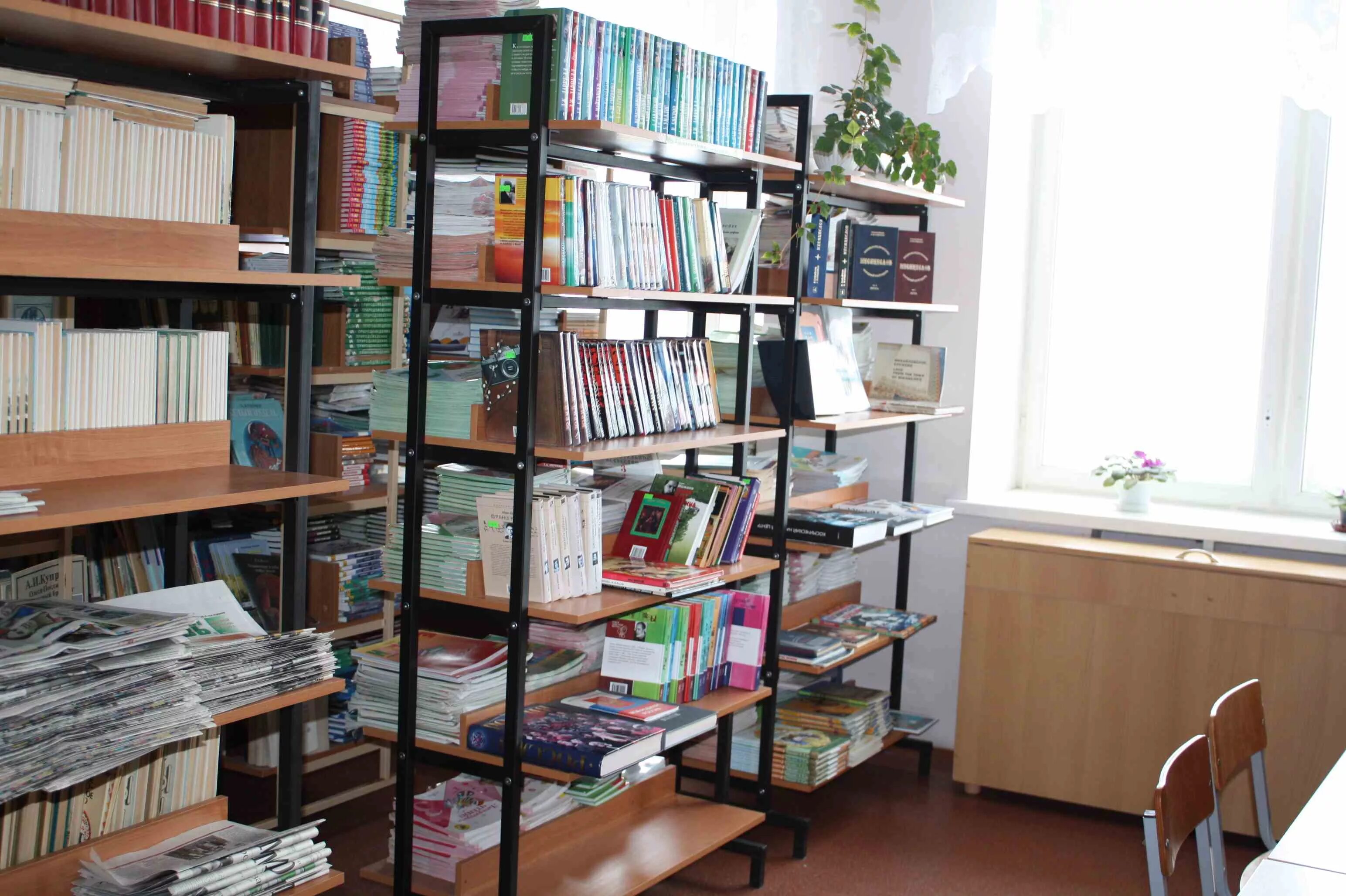 Библиотека Минусинск читальный зал. Школьная библиотека. Библиотека в школе. Стеллаж библиотечный.