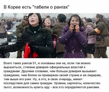 Северные факты