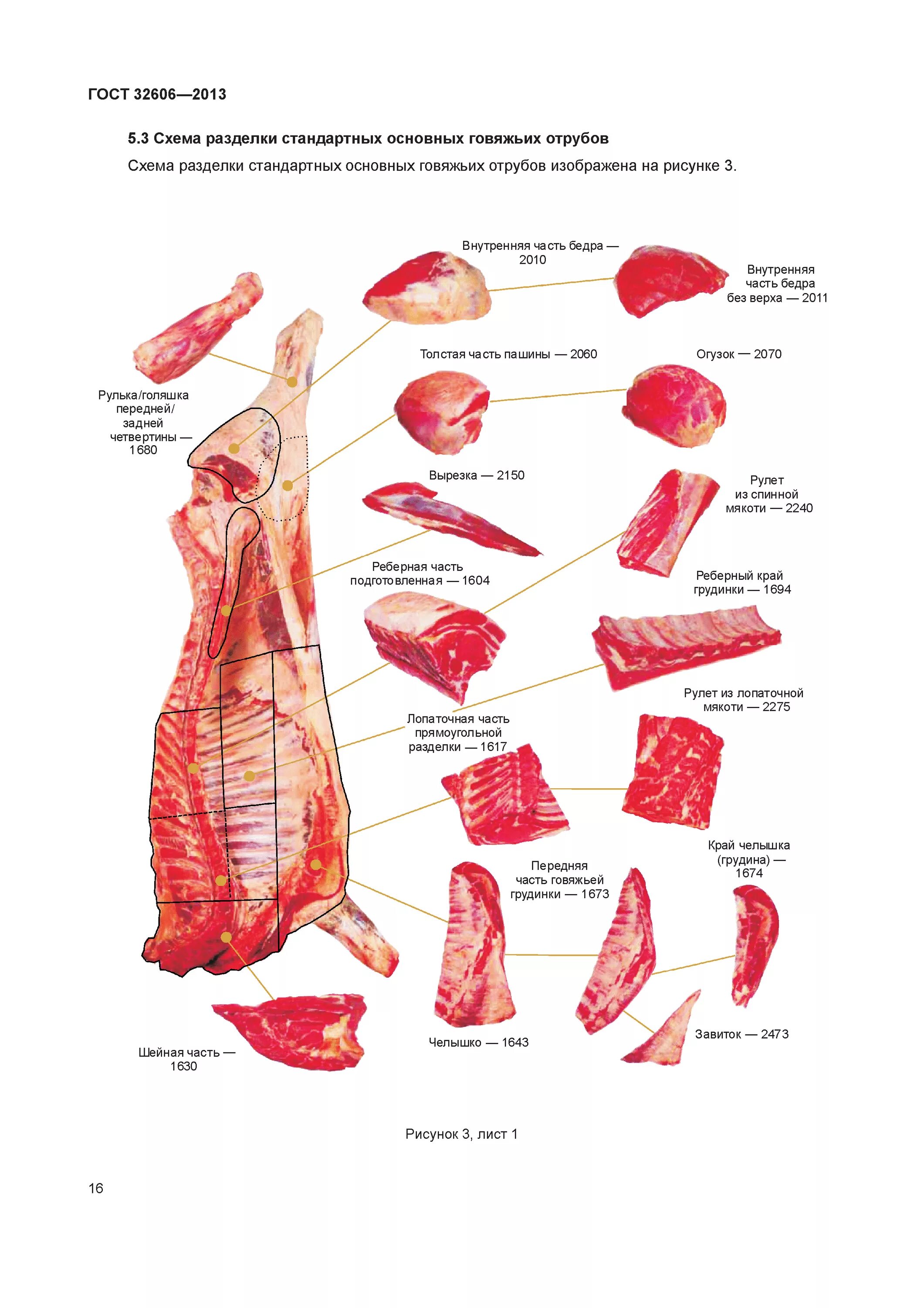 Вырезка части говядины. Говядина голяшка схема. Схема разделки говяжьей туши с названиями частей. Общая схема говяжьей туши. Телятина разделка туши схема.