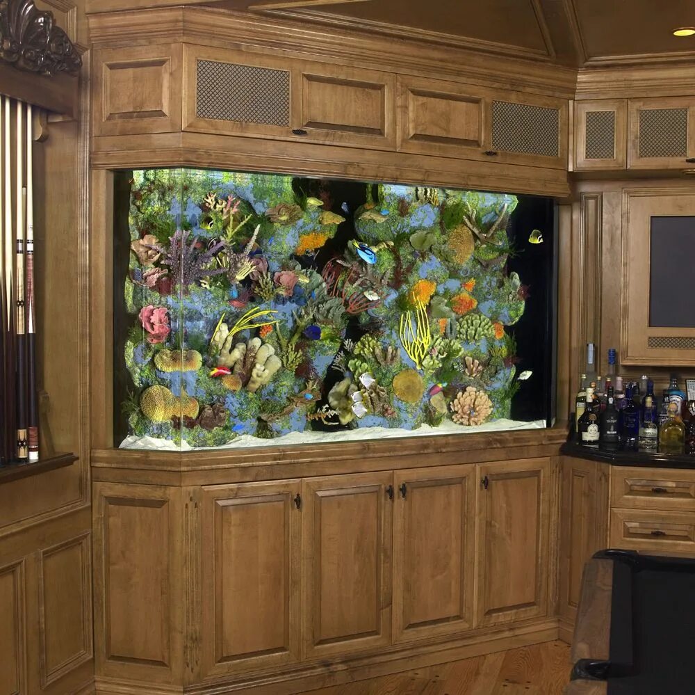 Аквар. Красивые домашние аквариумы. Juwel vision 450. Аквариум на 500 литров псевдоморе. Марсилия акваскейп.