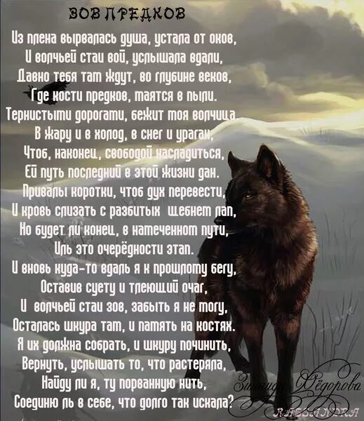 Навеки твой книга. Я не твоя вой. Любовные романы литнет. Хэллоуин приколы шутки. Я не твоя вой.