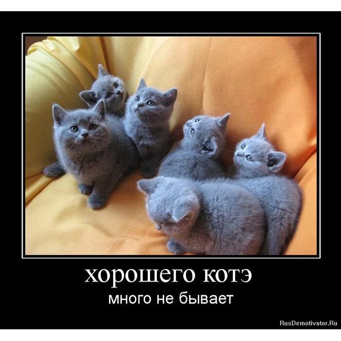 Праздников много не бывает. Веселые детские праздники. Поздравление от аниматора. Сюрприз на юбилей. Детский праздник.