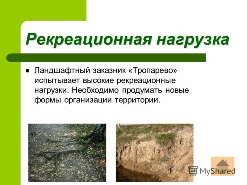 рекреационная нагрузка на парк. допустимая рекреационная нагрузка. допустимая рекреационная нагрузка. определение рекреационных нагрузок. рекреационная нагрузка на парк.