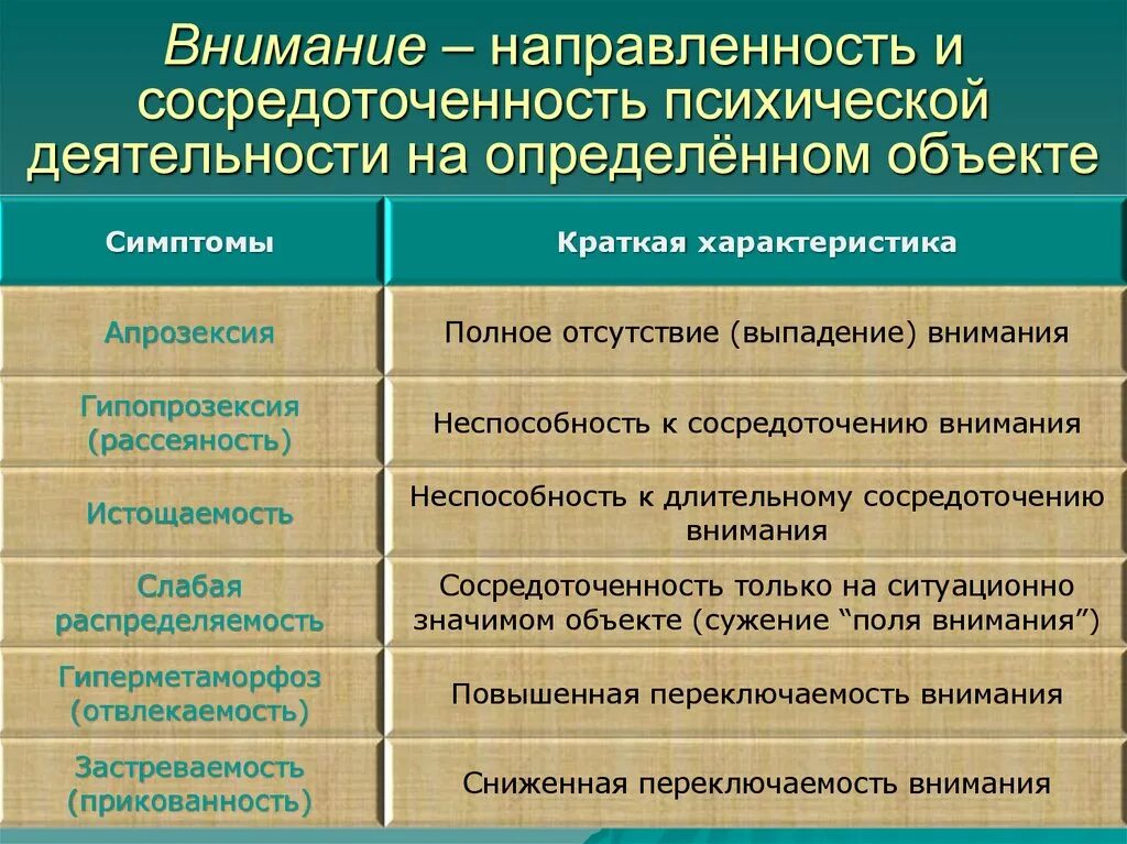 Направленность и сосредоточенность внимания