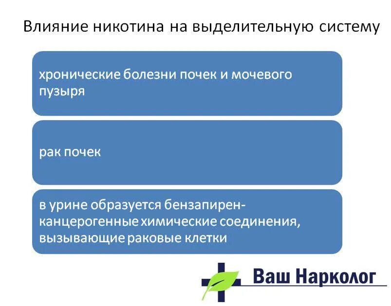 Нарколог никотин. Влияние никотина на выделительную систему. воздействие никотина на почки. влияние никотина на выделительную систему человека. влияние курения на выделительную систему.