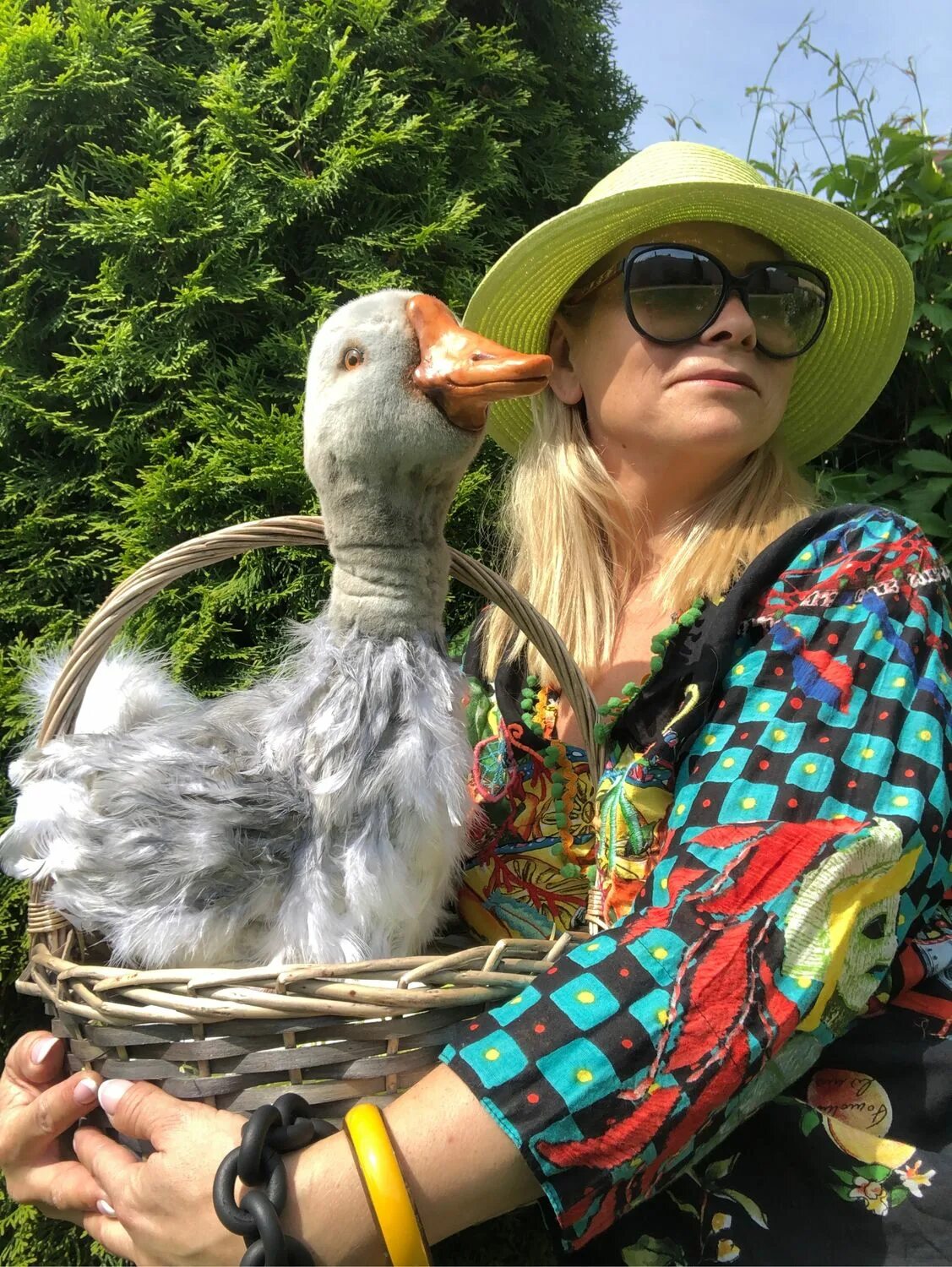 Подработка гусь. Гусь лапчатый. гусь лапчатый фото.