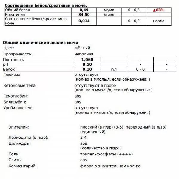 Соотношение белка и креатинина в моче. Соотношение белок креатинин в моче у собаки. Соотношение белка и креатинина в моче у человека. Соотношение белок креатинин норма.