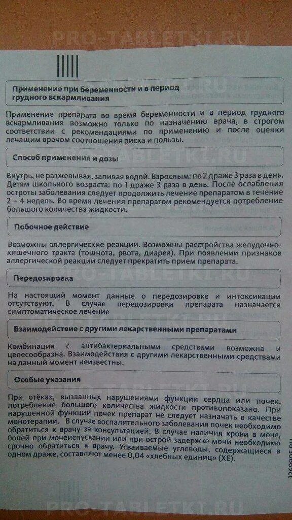 Канефрон инструкция. Таблетки для почек при беременности. Канефрон побочные. Канефрон состав таблетки.