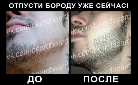 Отпустить бороду
