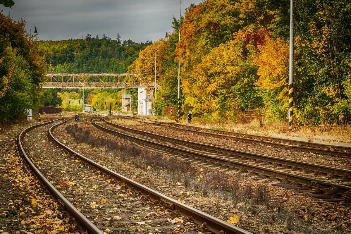 Rail track железная дорога. Станция Оверята железная дорога осенью. Железная дорога пейзаж. Пейзаж с железной дорогой.