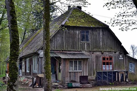 Жил в литве