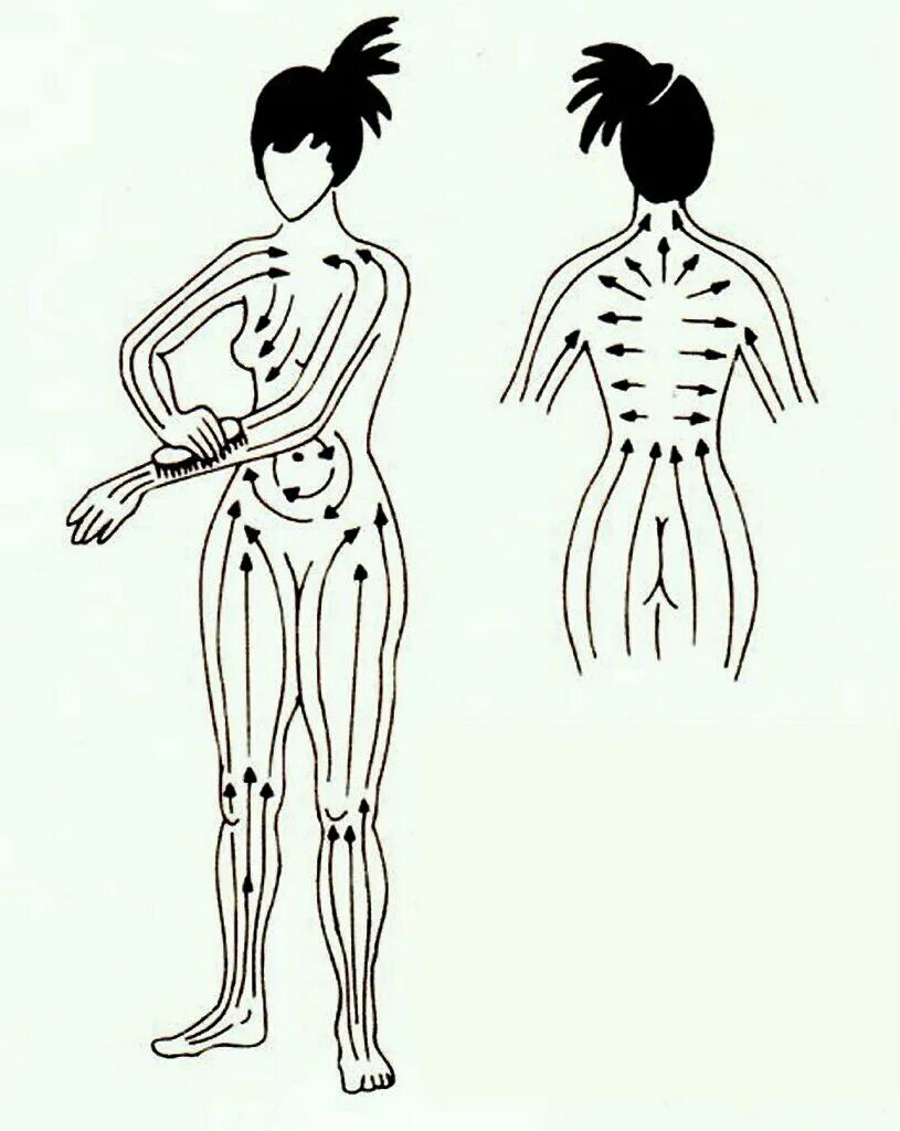 Направление массажных движений при массаже. Лимфатическая система массажные линии тела. Массаж лимфы тела схема. Массажные линии тела схема лимфа. Лимфатическая система человека схема движения лимфы массаж.