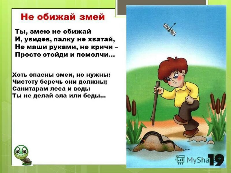 Не обижай змей. Стих про змею для малышей. Стих про змею в лесу. Не обижай животных