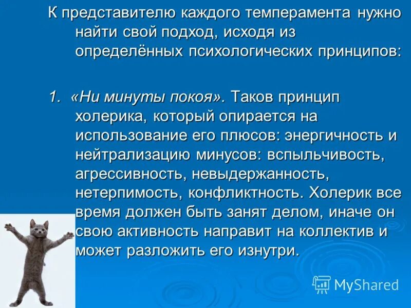 принципы подхода к людям психология. таковы принципы. принципы современной биоэтики. принцип таков. незнание лексического значения слова.