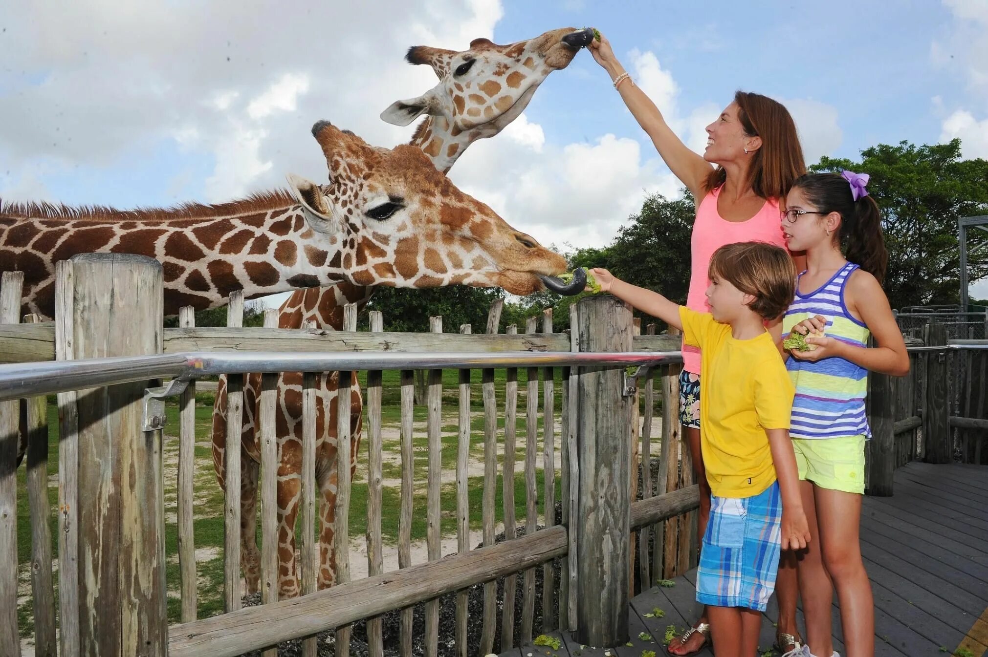 Zoo child. Семья в зоопарке. Дети в зоопарке. Экскурсия в зоопарк. Фотосессия в зоопарке.