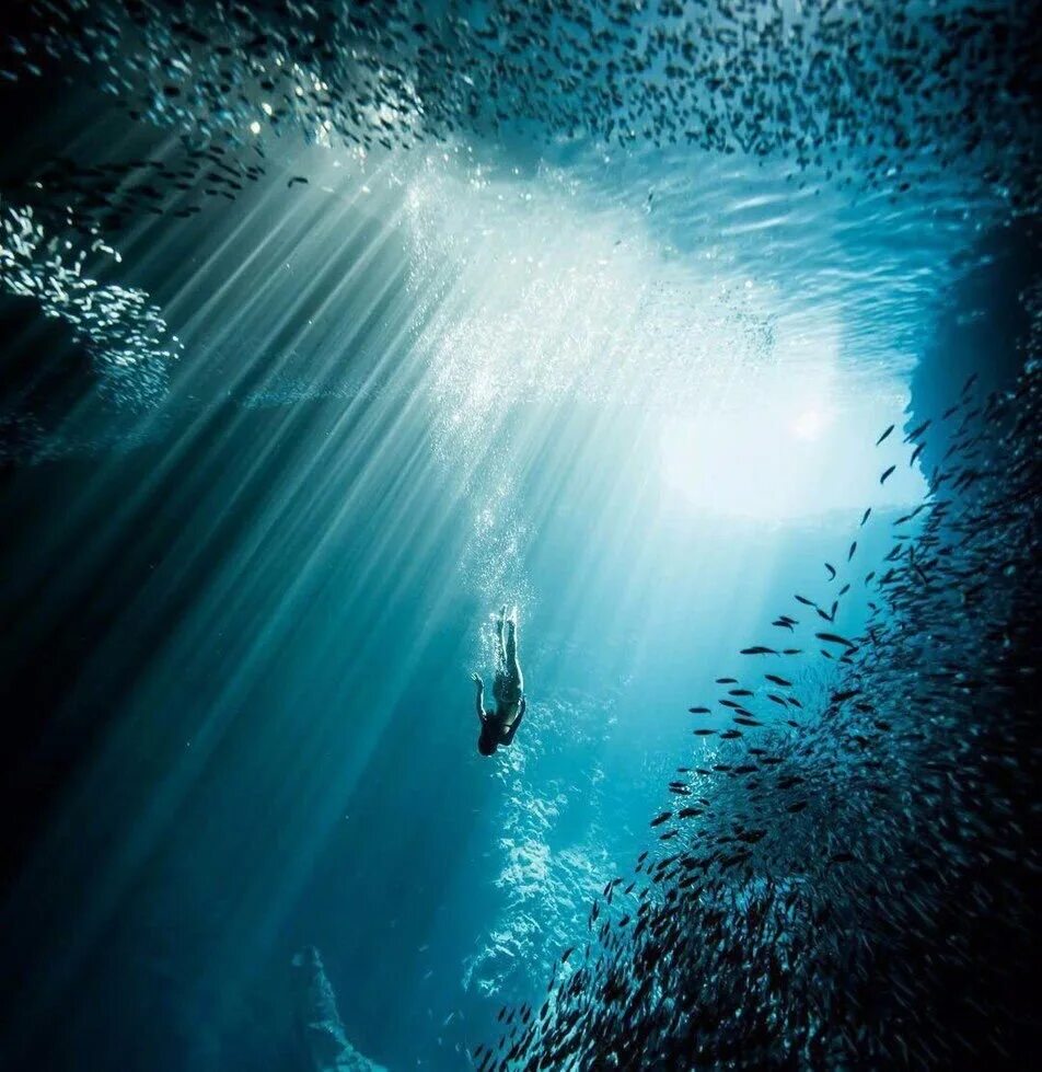 В глубь океана. Океаны. Глубина. Морские глубины. Море под водой. Погружение в воду.
