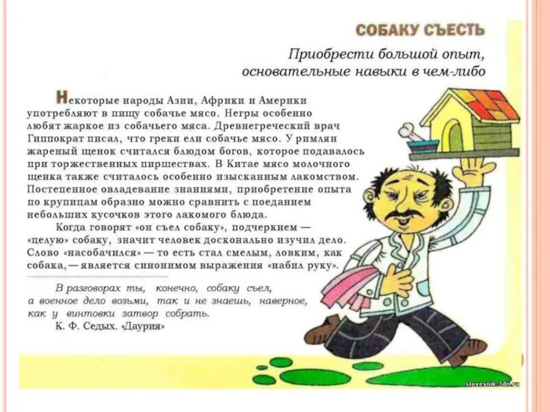 Как побитая собачонка значение