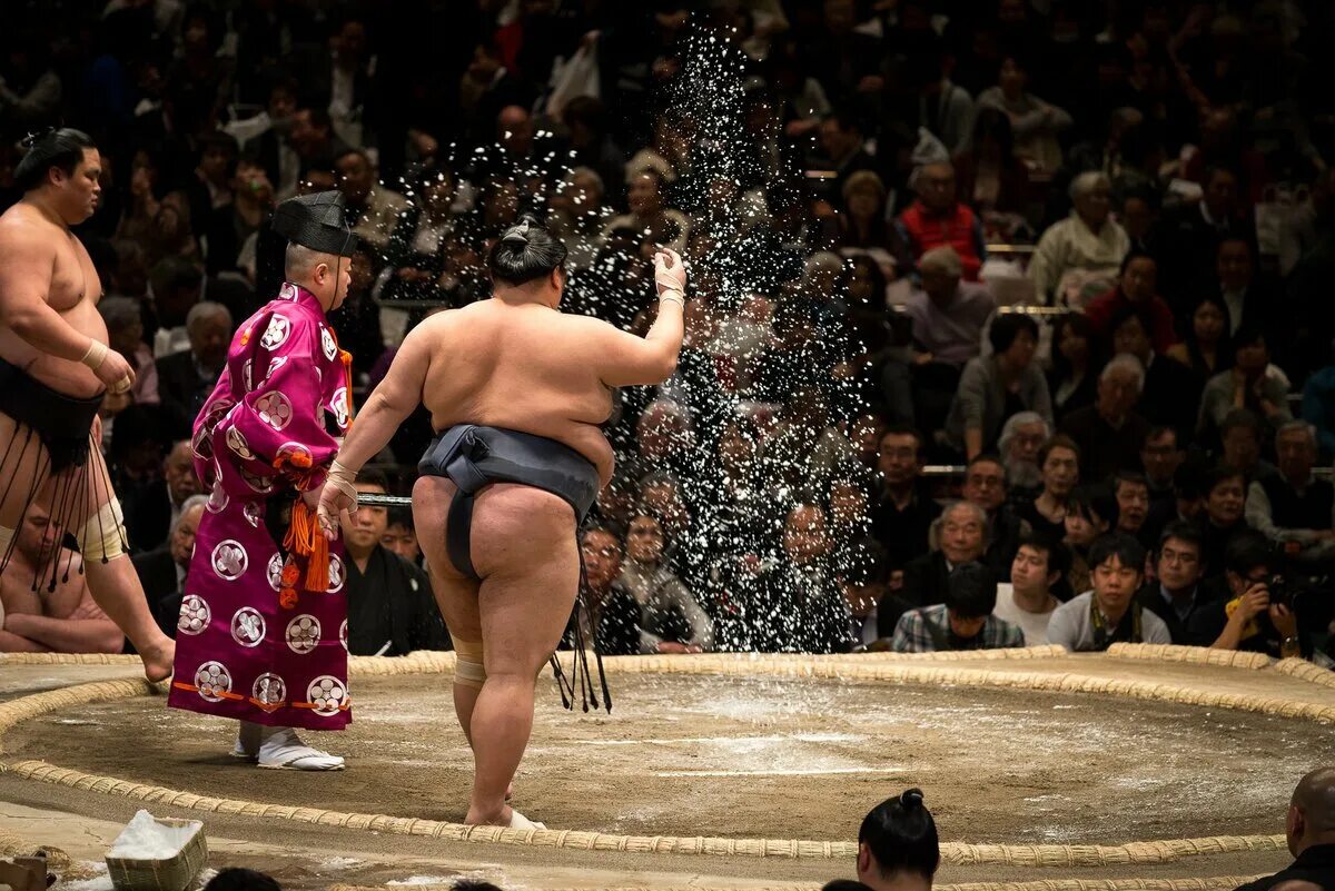 Сумоист. Японские сумоисты. Сумоист. Сумо япония. Харумафудзи кохэй.