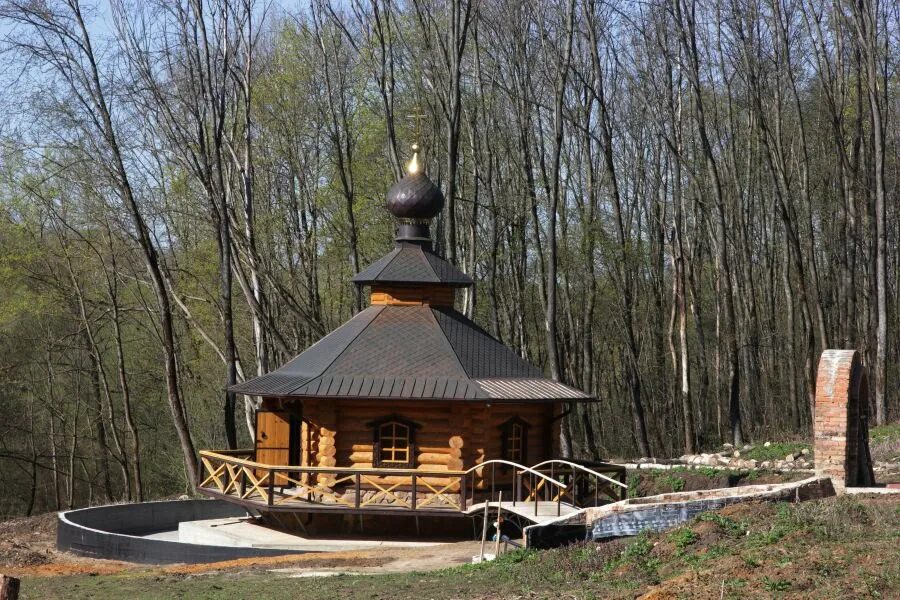 Живоносный родник. Родник, Святой источник иконы Божией матери. Родник, Святой источник Корсунской иконы Божией матери.. Живоносный источник село Корсунь. Орловская область Святой источник Корсунь Верховский район.