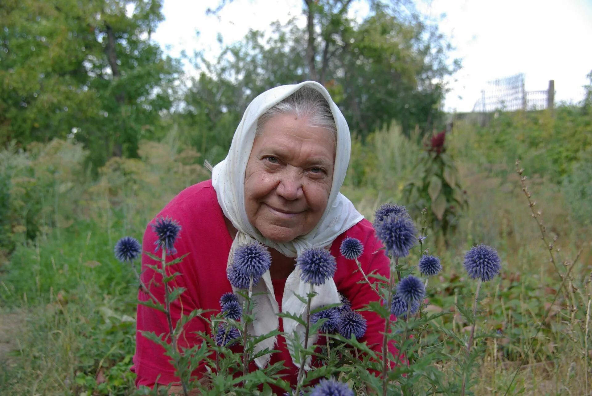 Где найти знахарку