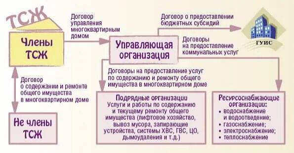 Управляющая компания объединение. Организация ТСЖ. Что такое ТСЖ В многоквартирном доме. Управление ТСЖ. Управление ТСЖ В многоквартирном доме.