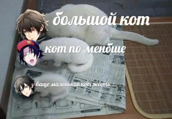 Мало мемов