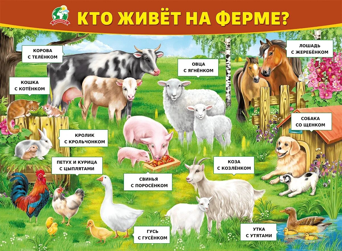 Кто живет в семи. Плакат кто живет на ферме. Плакат. Домашние животные.. Плакат с домашними животными для детей. Плакат домашние животные для детей.