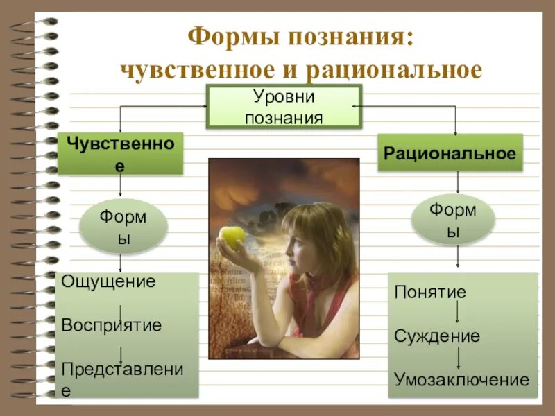 Познание авторы познания. Уровни чувственного познания. Чувственный и рациональный уровни познания. Формы чувственного и рационального познания. Чувственное познание рациональное познание понятие.