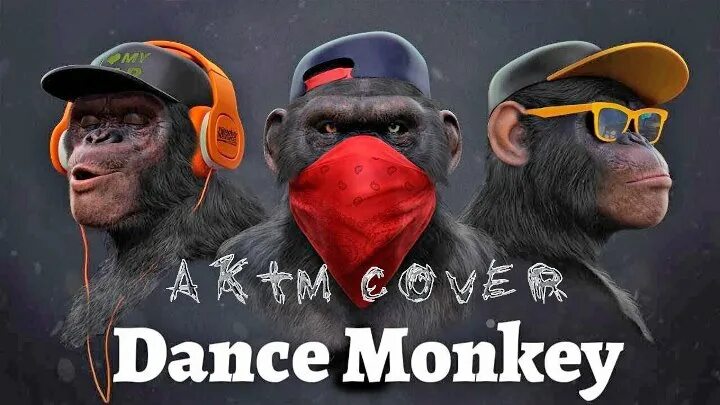 Постер обезьяны. Картина три обезьяны в кепках. Постер шимпанзе. Обезьяна диджей. I can dance chimp