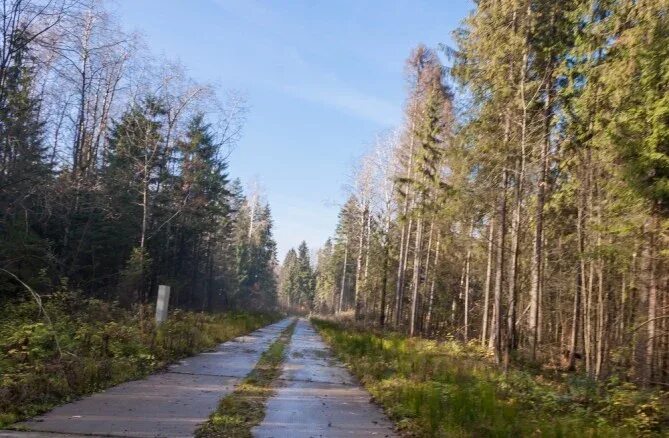 Поселок Пушкинский лес. Пушкинский лес коттеджный поселок. Пушкинский район, п. Софрино, микрорайон «Пушкинский лес». Посёлок Лесной Пушкинский район. Пушкинский лес коттеджный