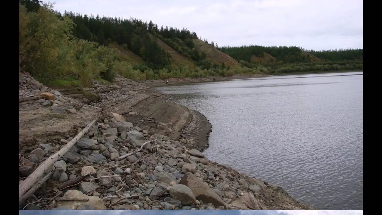 Есть река енисеюшка. Водность реки лена. Песни река лена. Описание реки лена. Стихотворение о реке.