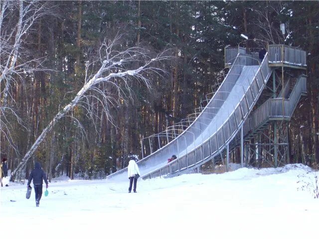 Горки верхний бор тюмень. Горка бор. Горка бор. Источник верхний бор тюмень. Сосновый бор новосибирск горки зимой.